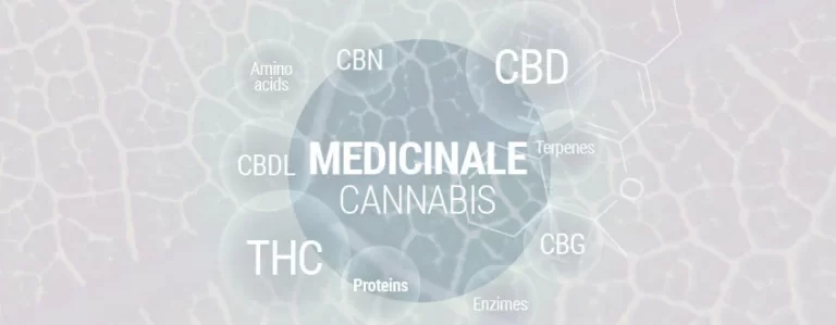 De Ultieme Cannabisgids: Van Beginner tot Expert